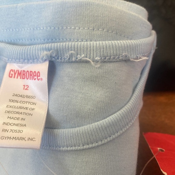 Gymboree Petite Mademoiselle Blue Ballet Slippers T-shirt FLAW nwt Size 12 - Picture 5 of 6